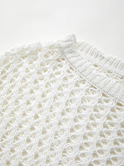 Hollow Out Crochet Long Sleeve Knit Top