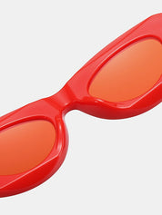 Contrasting Chunky Cat Eye Sunglasses